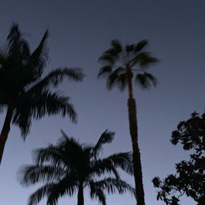 Meet your Posher, Abella